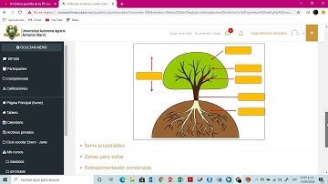 MOODLE_S1 COMO CREAR PREGUNTAS DE ARRASTRAR TEXTO Y SOLTAR SOBRE IMAGEN