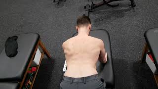 Quadruped Scapular Retraction and Protraction