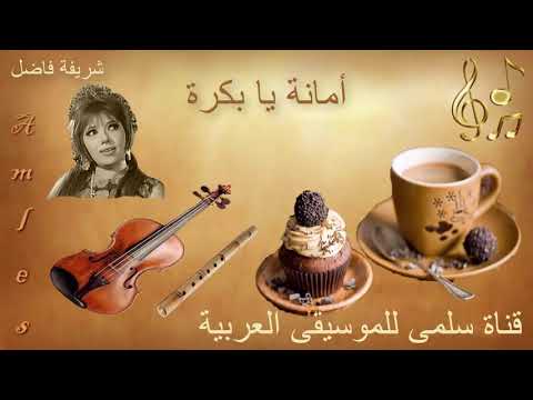 337     شريفة فاضل أمانة يابكرة