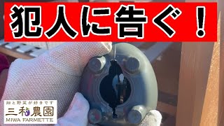 無人販売所でつかえる料金箱 無人販売・募金箱に～ミニ金庫型の「料金箱」を新発売 | カール事務器