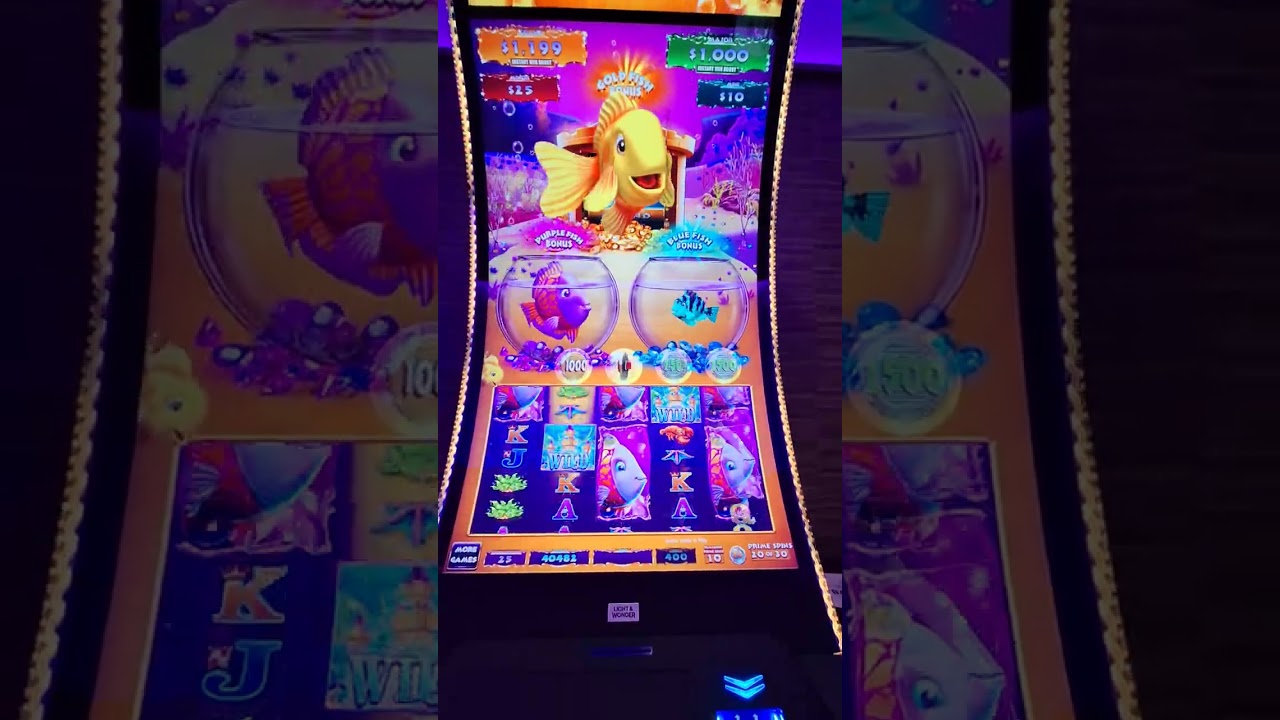 Gold Fish Feeding Frenzy $4 Max Bet Bonus with 30 spins