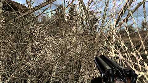 How Not To Survive! Stalker Misery Mod