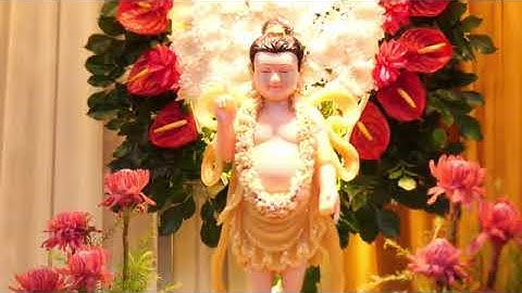 TỤNG KINH THI KỆ CUỘC ĐỜI ĐỨC PHẬT trong Khóa tu Tuổi Trẻ Hướng Phật tại Chùa Giác Ngộ  20.12 .2024.