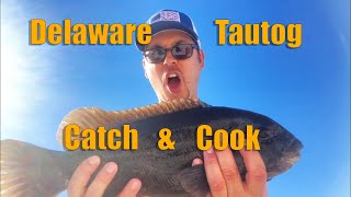 Tautog (Blackfish) Fishing in Lewes Delaware : Catch and Cook         -Small Wonder Series Sn 2 Ep 2