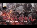 THE WITCHER зохиол ямар ертөнцөд өрнөдөг вэ?