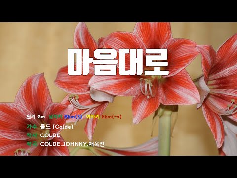 [은성 반주기] 마음대로 - 콜드(Colde)