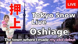 Download Lagu Oshiage : the town where I made my idol debut🎀 MP3