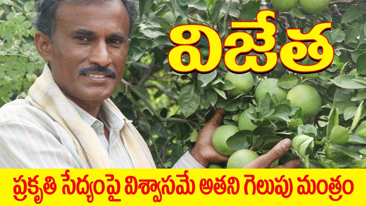 Zero Budget Natural Farming Success Story Nagaraju YouTube zero-budget-natural-farming-success-story-nagaraju-youtube