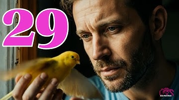 New Eritrean Audio book video እቲ ዘይሩጉእ እዋን- ምዕራፍ 29