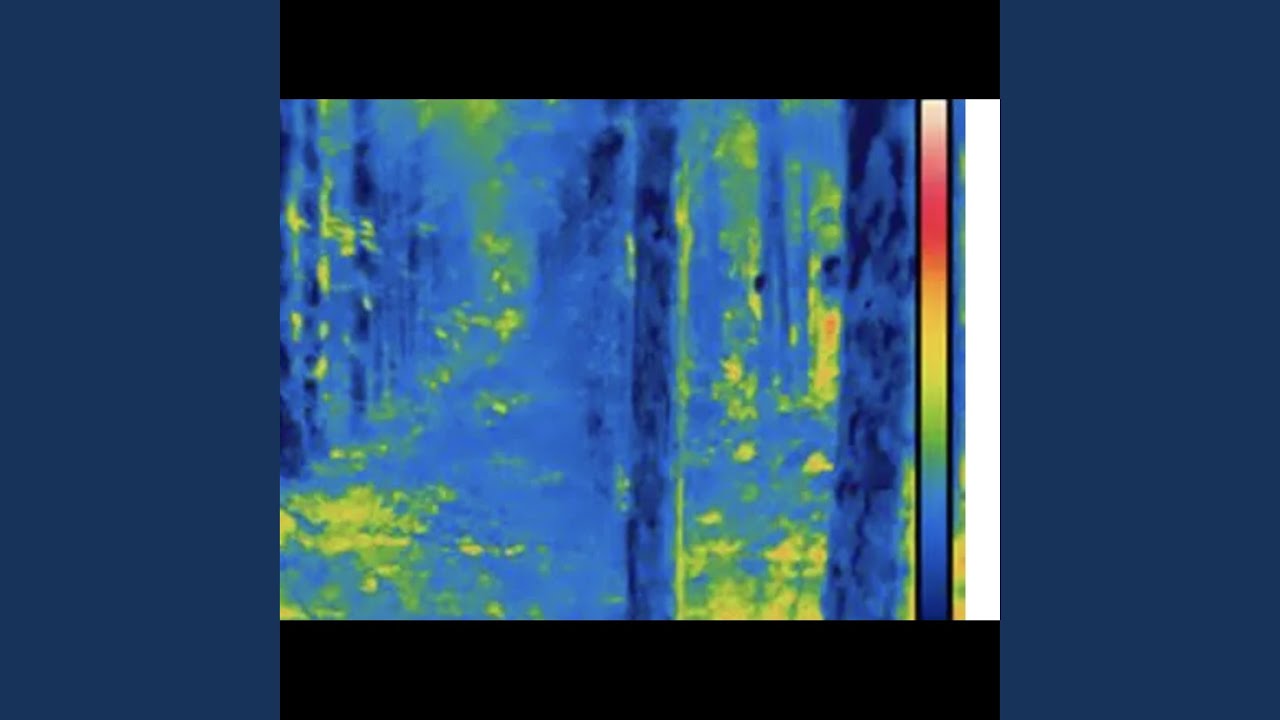 Guarda Infrared su YouTube Guarda Infrared su YouTube