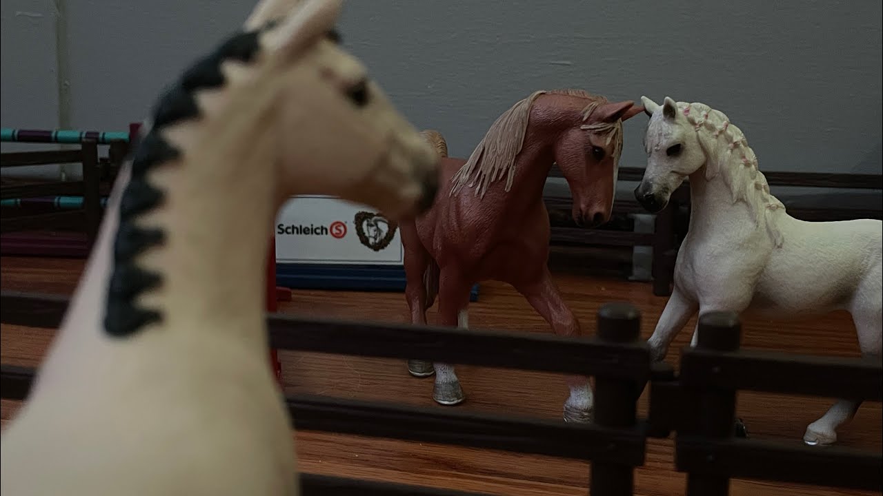 Treat You Better|Schleich music video|