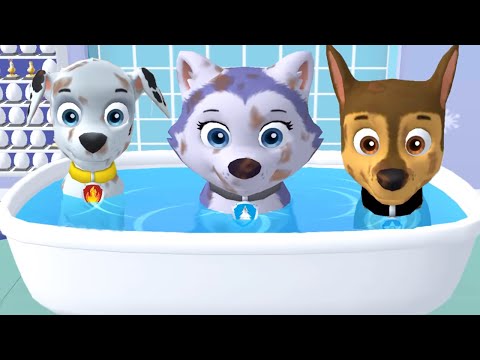 Paw Patrol A Day in Adventure Bay VS Adventure On A Roll - Pups Daily Life  - Fun Pet Kids Games