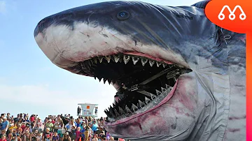 Qual é o tamanho do dente do tubarão megalodon?
