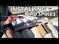 Do Bird Spikes Work? Let's Install Them and Find Out | For Beginners