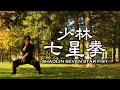 少林七星拳 | SHAOLIN SEVEN STAR FIST