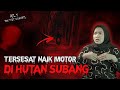 NIAT PULANG KAMPUNG PAKE MAPS MALAH NYASAR KE HUTAN GAIB??! KISAH MISTERI PERJALANAN #OMMAMAT