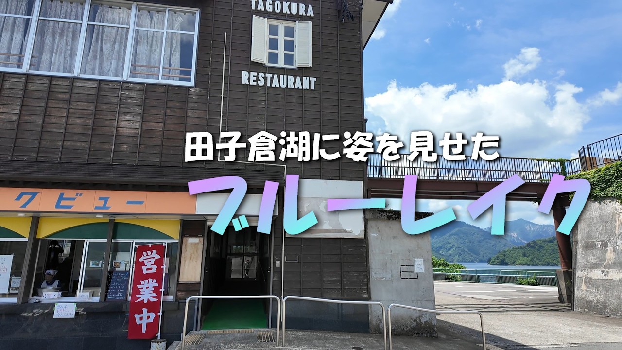 It's been 8 years! I had given up on seeing the 