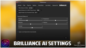 Tune Brilliance AI To Work On Your RAW Images