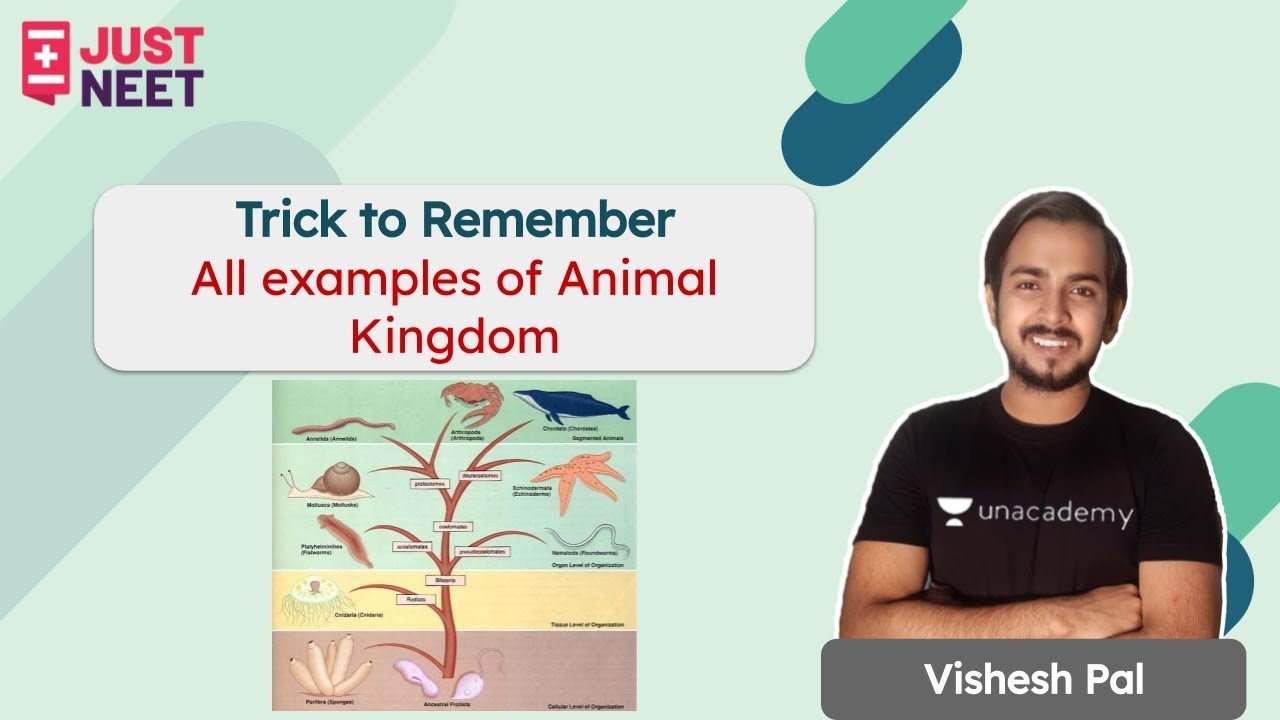 Trick to Remember | All examples of Animal Kingdom | Class 11 | Just ...