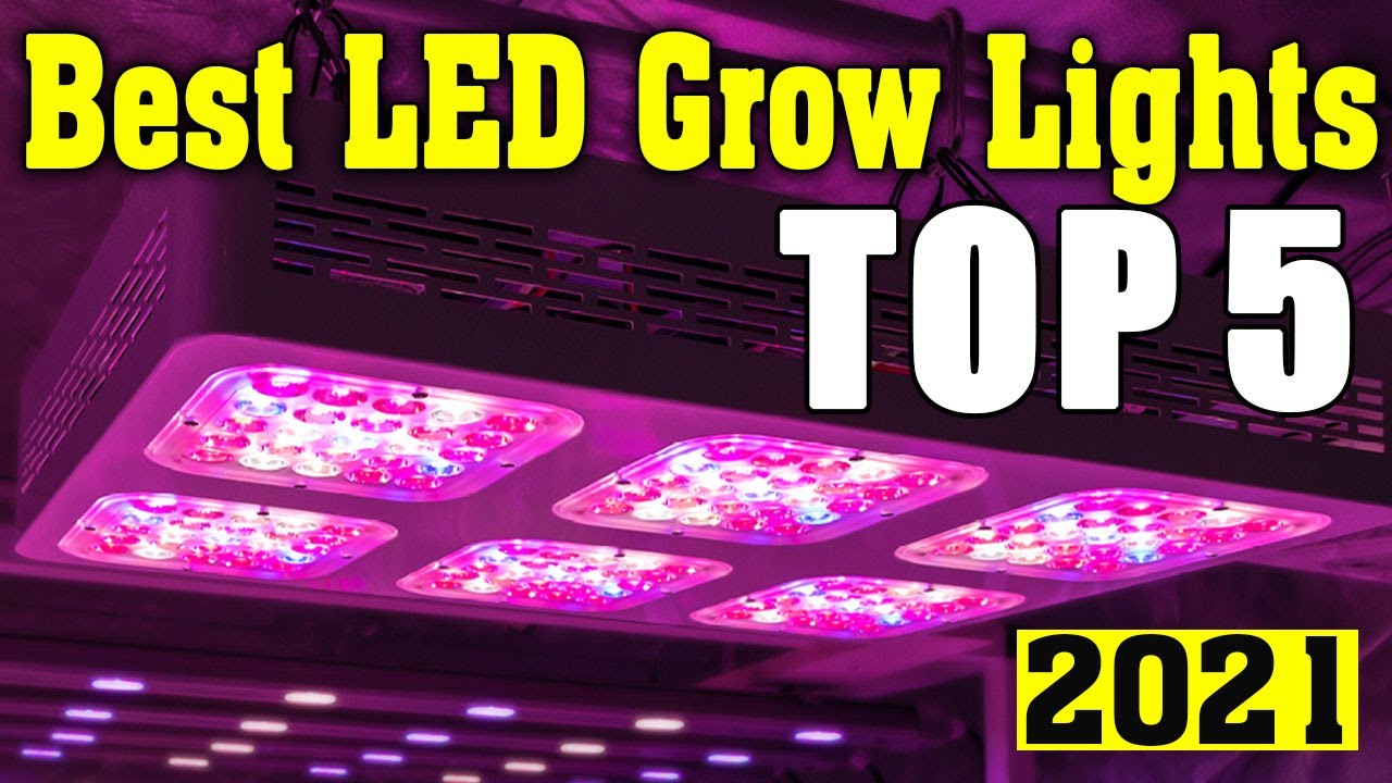 Målestok Kemiker en lille TOP 5 Best LED Grow Lights 2021 💥 Best LED Grow Lights 💥 - YouTube