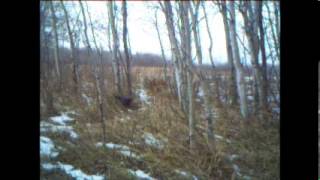 Trail cam in front of a power snare
