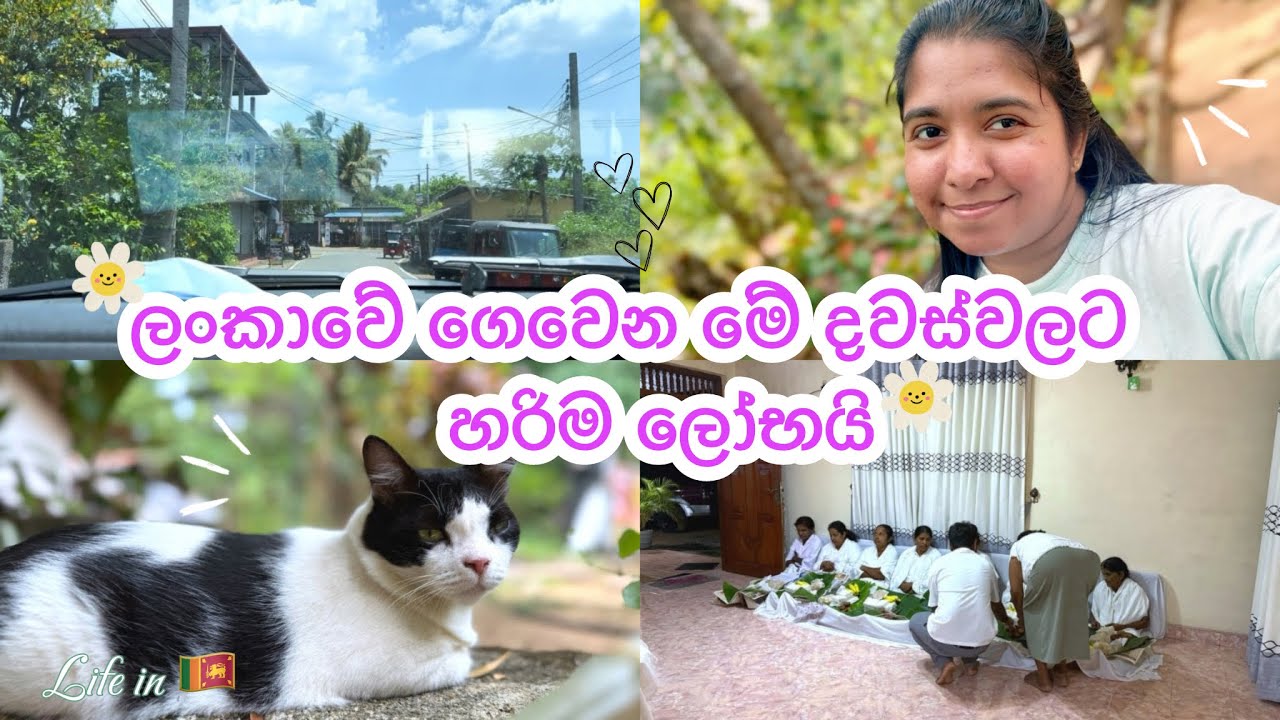 අපේ ගෙදර කිරිභාරේ 🙏| එයා එක්ක යන පොඩි පොඩි රෝන්ද🚗| Sinhala vlogs💁‍♀️| Day vlogs🤗 #srilanka#vlog