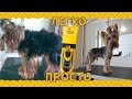 Машинка для стрижки собак и других животных .Dog Hair Trimmer