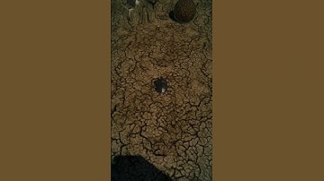 💻🎮📸mini juego prueba #developer #unity #unity3d #android #ios #movil #3d #art #game #games