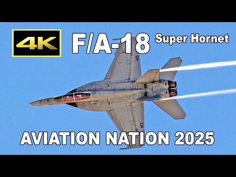 【フレンドシップデー2025】1/144完成品 F/A-18F ライノデモ仕様 フレンドシップデー2025】1/144完成品 F/A-18F ライノデモ仕様