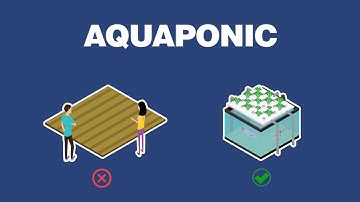 IKonik (IoT Aquaponic), The Future Agricultural Technology Innovation