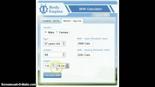 Metric BMR Calculator screenshot 4