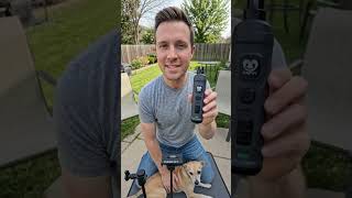 Casfuy Dog Nail Grinder with 2 LED Light - New Version 2-Speed Powerful Electric Pet Nail Trimmer...