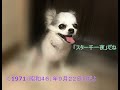 スタ-千一夜 1971(昭和46)年9月22日 関口 宏  悲しみのアリア 石田ゆり  おもいでの長崎 いしだあゆみ