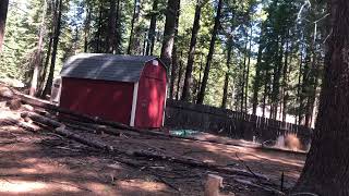 Well I dropped a tree on the shed.