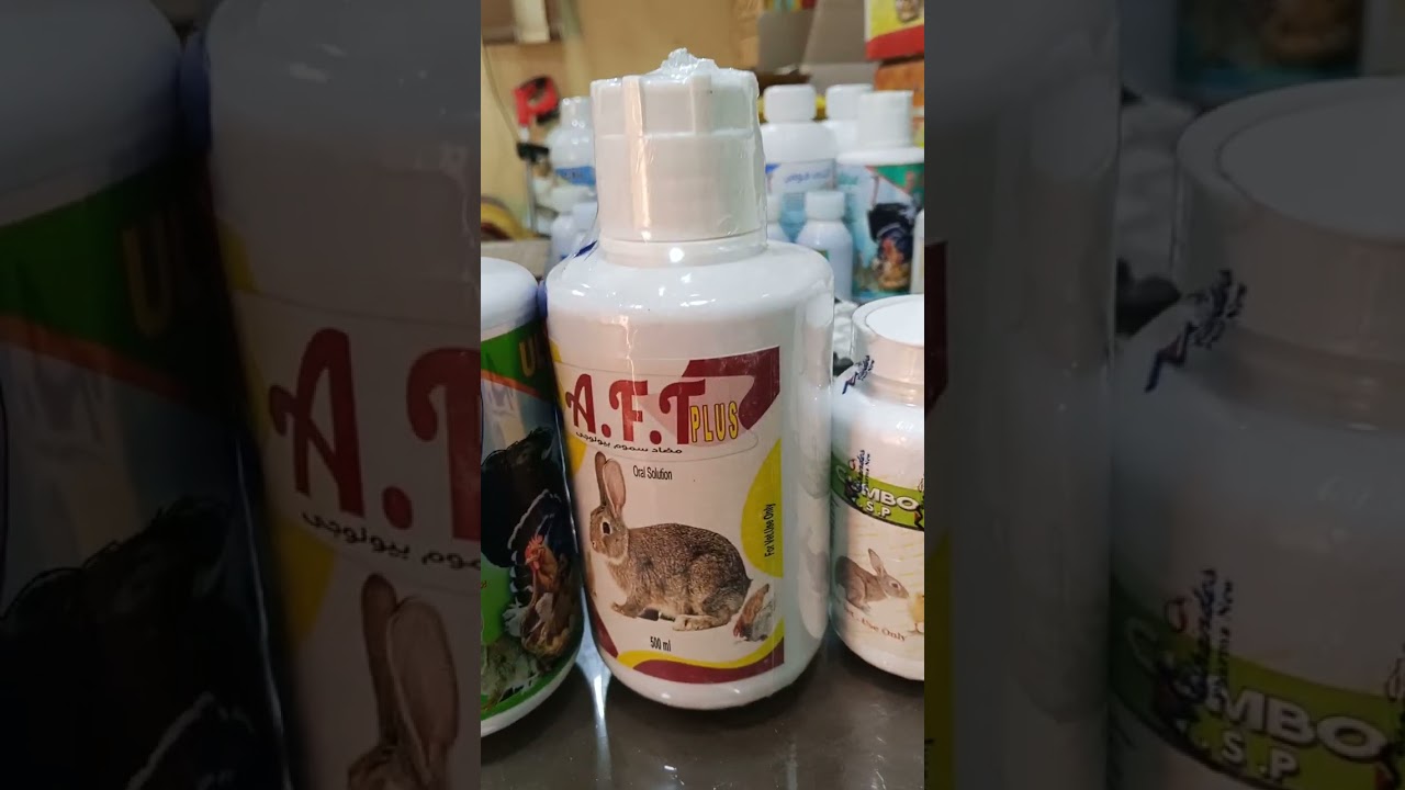 منتجات حصريه للارانب من ارانب راشد