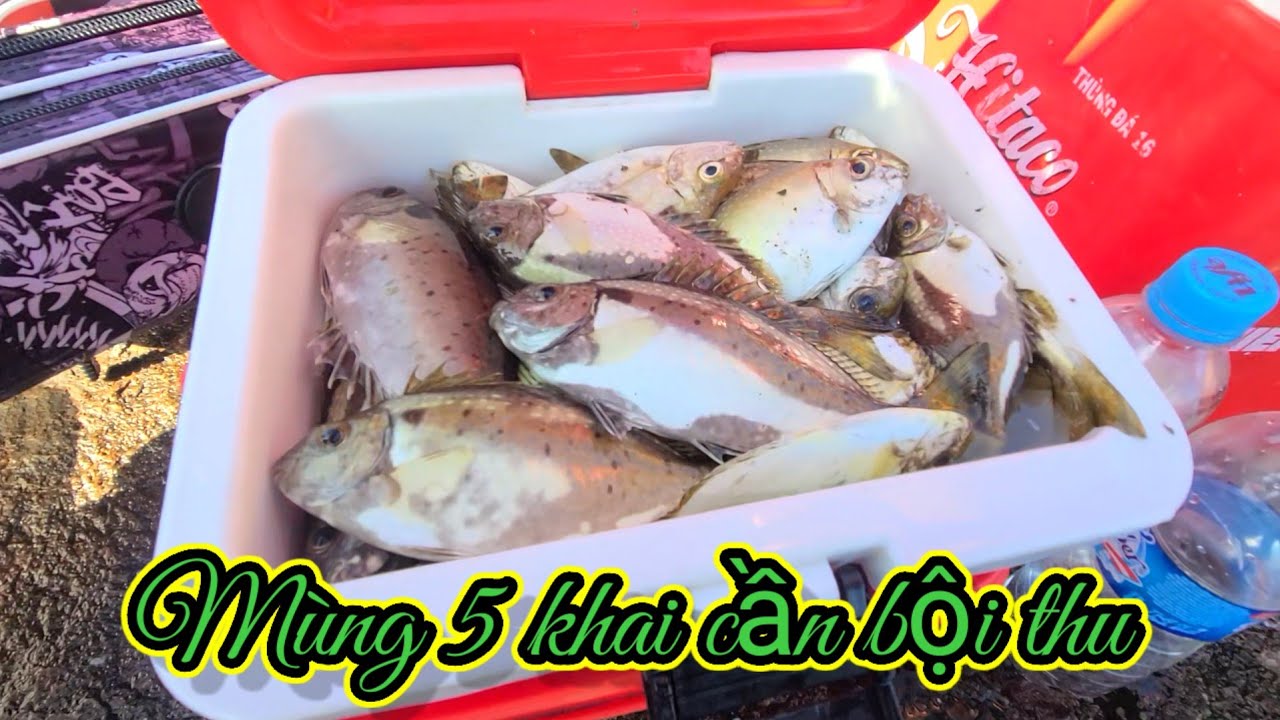 @Vuongfising86 /Khai cần đầu năm mùng 5 tết cùng Anh,Em