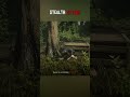 Stealth Attack in Red Dead Redemption 2