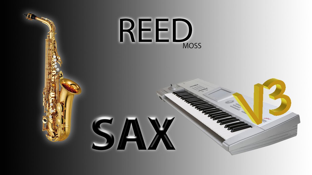 Korg trinity v3 Moss برمجة اصوات فيتري موس 17