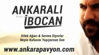 Ankaralı İbocan   Dilek Ağacı   Potpori Resimi