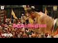 Dhasaavathaaram (Telugu) - Rayini Maatram Lyric | Kamal Haasan, Asin | Himesh