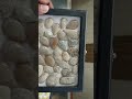 Admiring the Natural Beauty of Fossil Coral - A Close-Up Look at this Stunning Gemstone