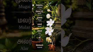 Tnpsc important tamil question/tnpsc gk/tnpsc gk full mark/tnpsc important/tnpsc group 4/tnpsc tamil