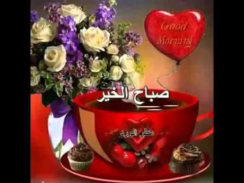 اهداء صباح الورد فيديو حلو