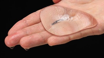 Level 1 to 1000 Water Experiments!