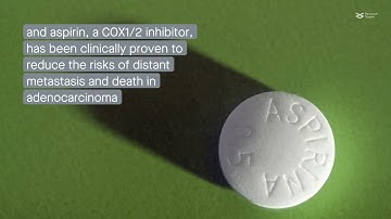 Activated platelets: Drivers of cancer metastasis