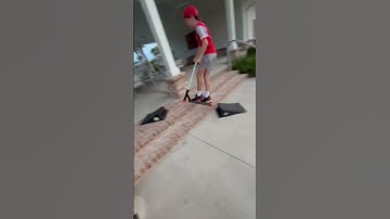 Thumbnail of 🔥 🔥 INSANE Ramp Tricks on Scooter 🔥 🔥   #scooter #tricks #stunts #cool