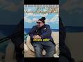 How Divorce Turned TIM DILLON To An Addict w/ STAVROS HALKIS