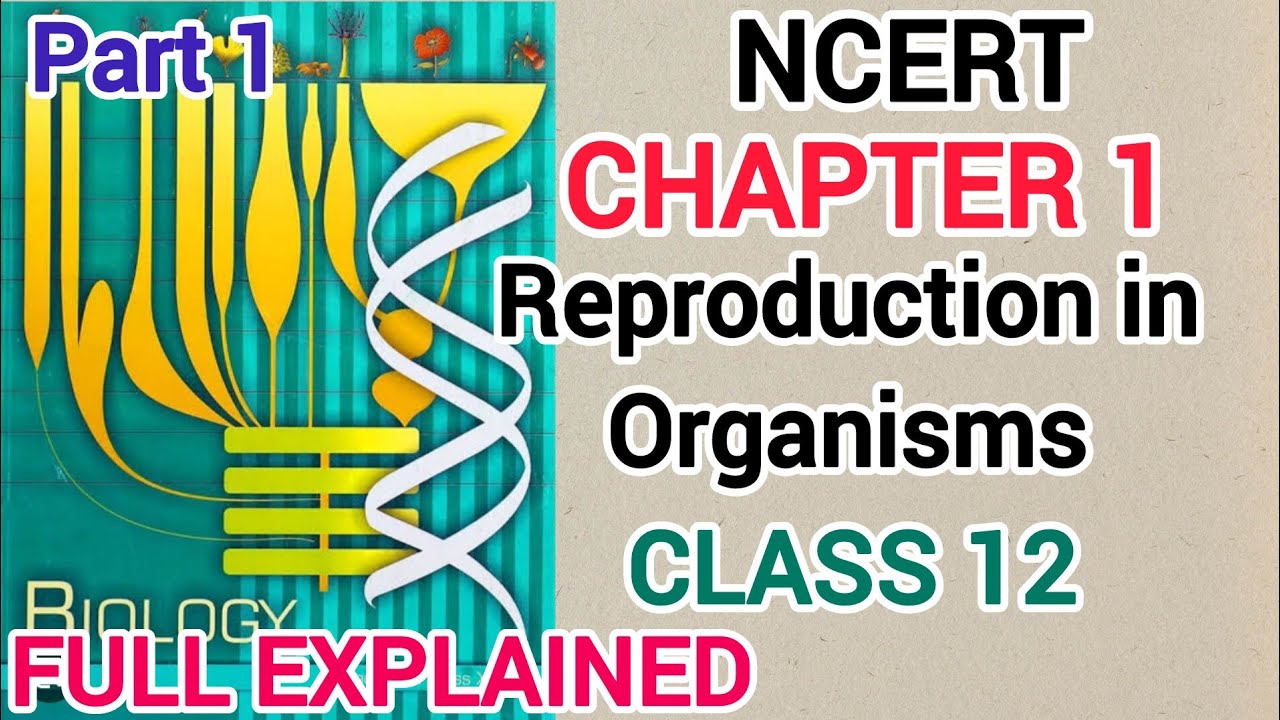 NCERT Ch 1 Reproduction in Organisms Class 12th Biology - YouTube