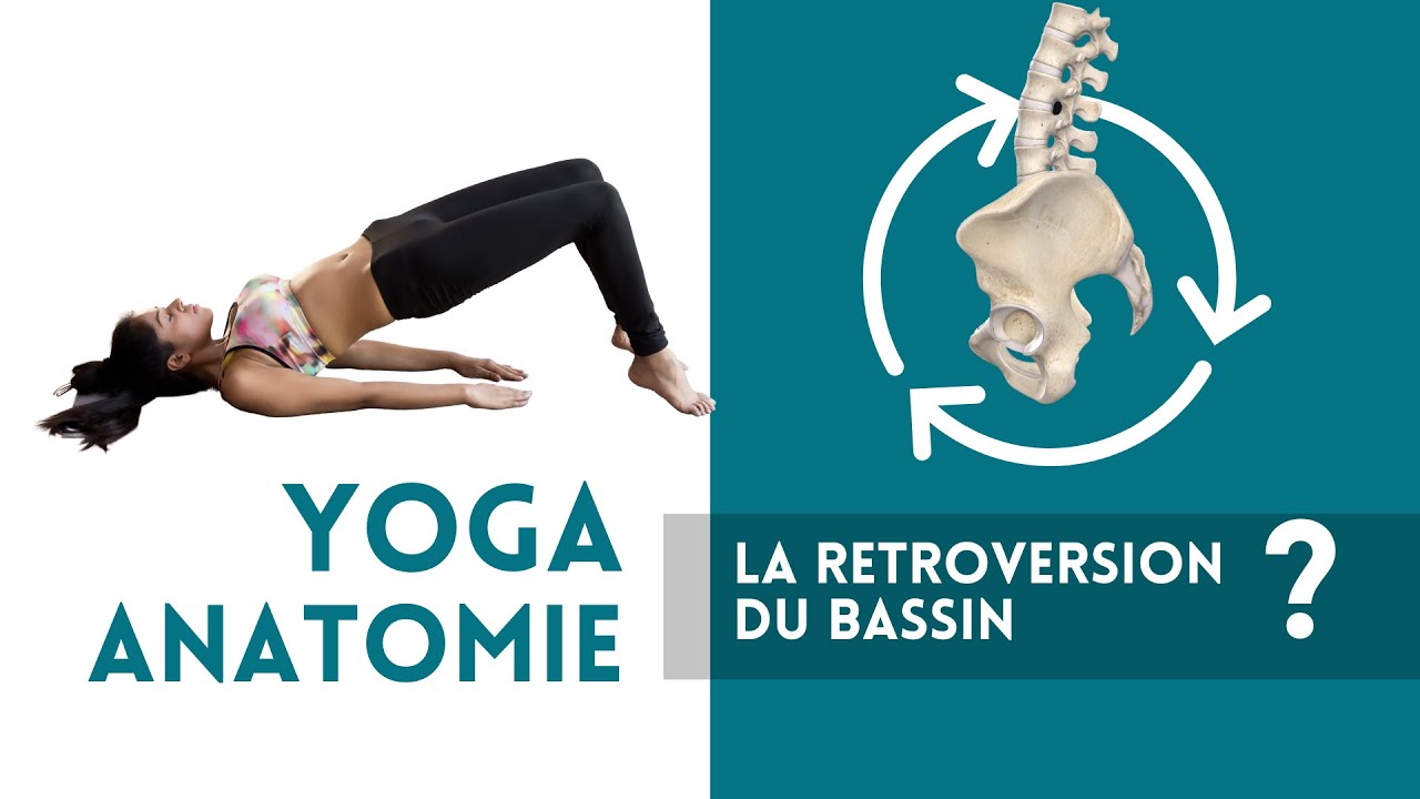 yoga-anatomie-la-r-troversion-du-bassin-youtube