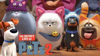 The Secret Life of Pets 2 Movie 2019 || The Secret Life of Pets 2 2019 Animated HD Movie Full Review screenshot 4